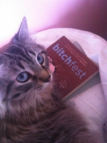 Inspiration: cat lover