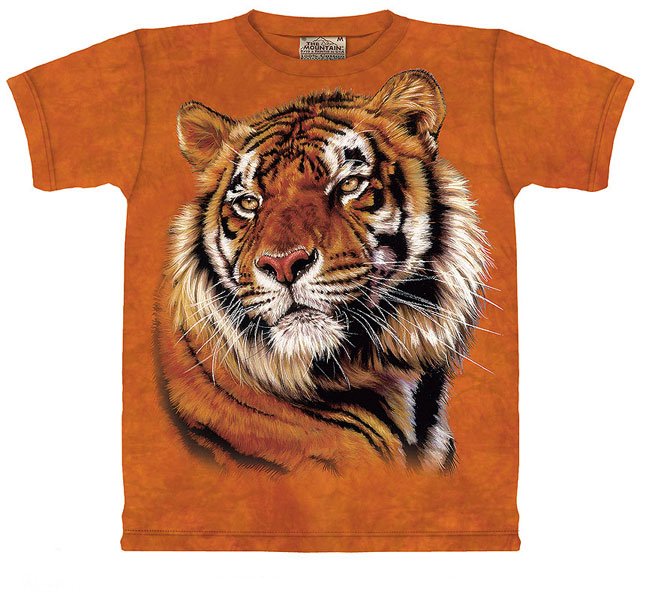 Musique et style: La fan de Johnny Halliday