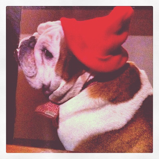 Calendrier de l'avent: jour 23