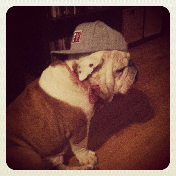 Découverte: L'eau Vanessa Bruno de Biotherm