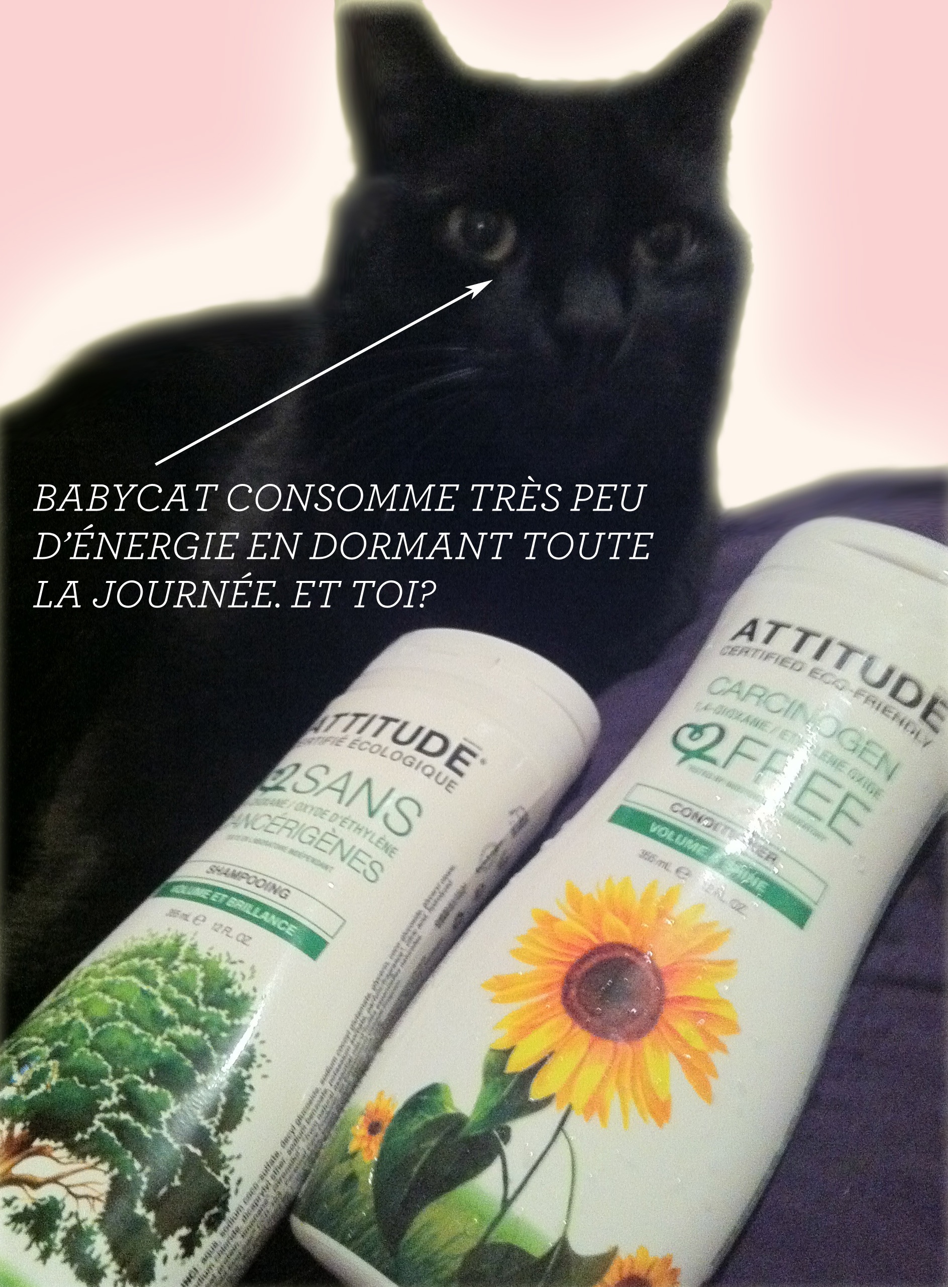 Concours ATTITUDE : parlez-nous de votre green attitude (ha!)