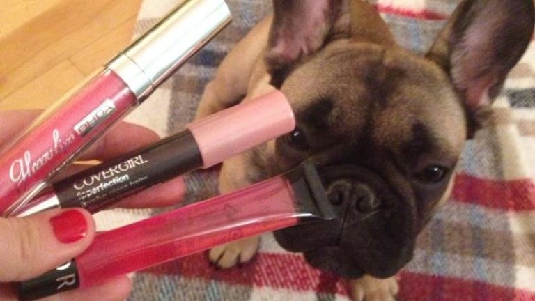 4 façons de mettre du printemps dans votre vie. Le tout approuvé par Winston et Clément!