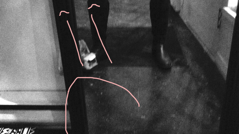 TPL a testé des collants de grossesse, parce que c’est vraiment important d’en avoir des bons.