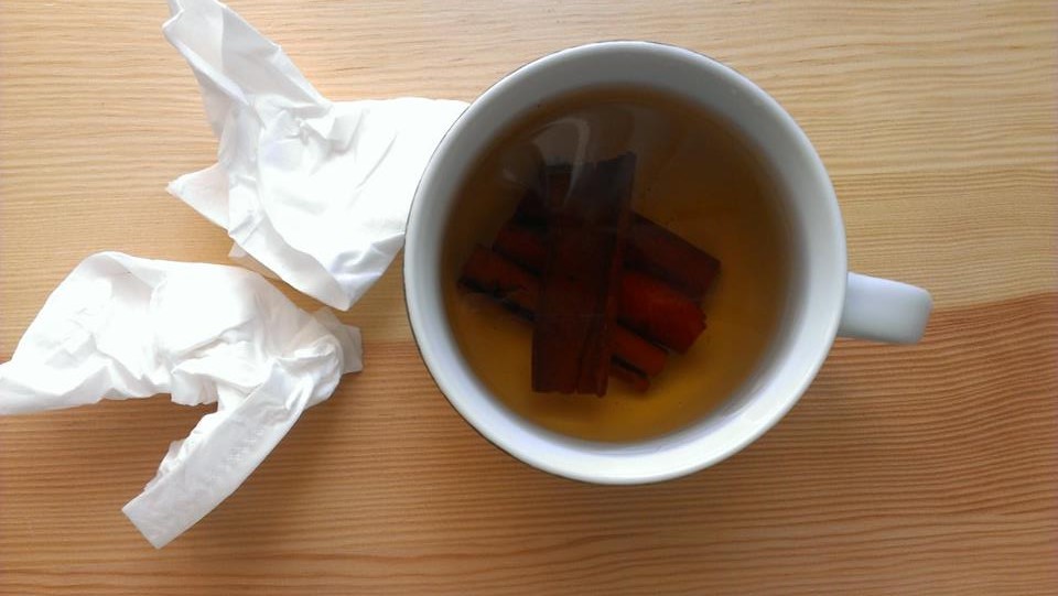 On teste 5 remèdes de grand-mère pour éloigner le « RHUBE » HA!