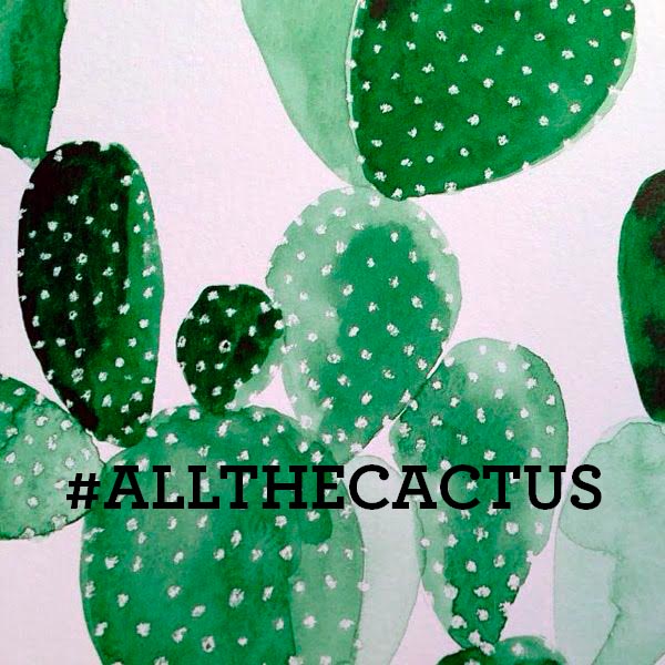 AYOYE TU M&#039;FAIS MAL : les cactus sont à la mode dans les Internets!