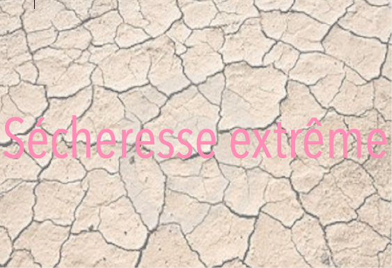 Des trucs pour éviter que vos doigts ressemblent au désert du Sahara cet hiver!