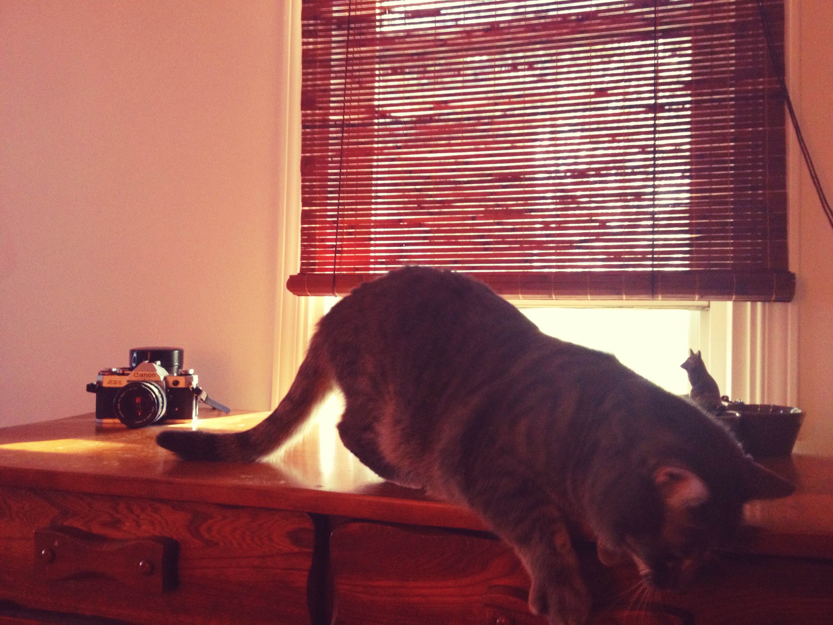 La chambre de Valérie : une véritable boîte à souvenirs.