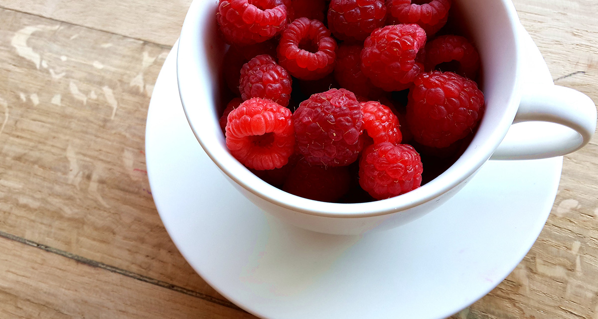 Des looks estivaux inspirés des fruits du Québec! #TouteEstDansToute