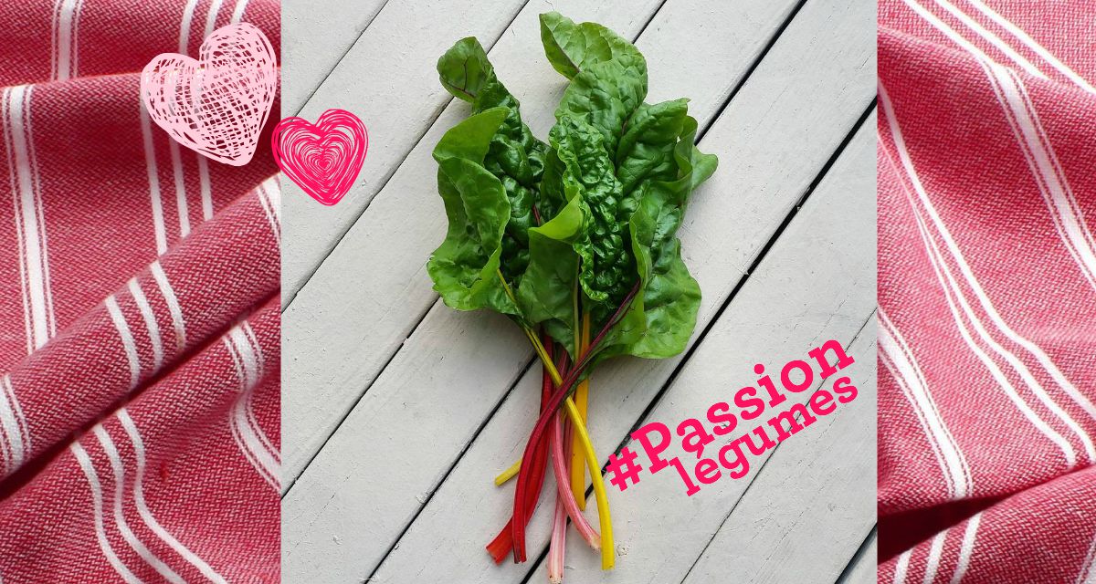 Inspiration bette à carde : 3 recettes, 3 looks!