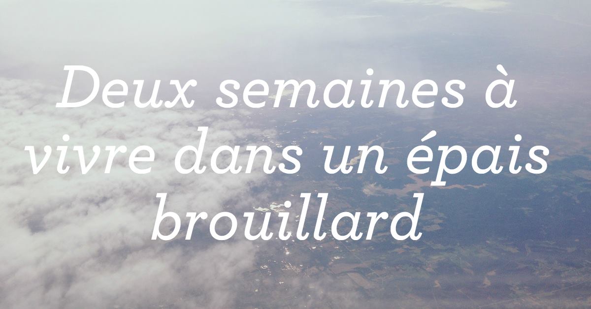 Vivre avec un trouble de stress post-traumatique : partie 2