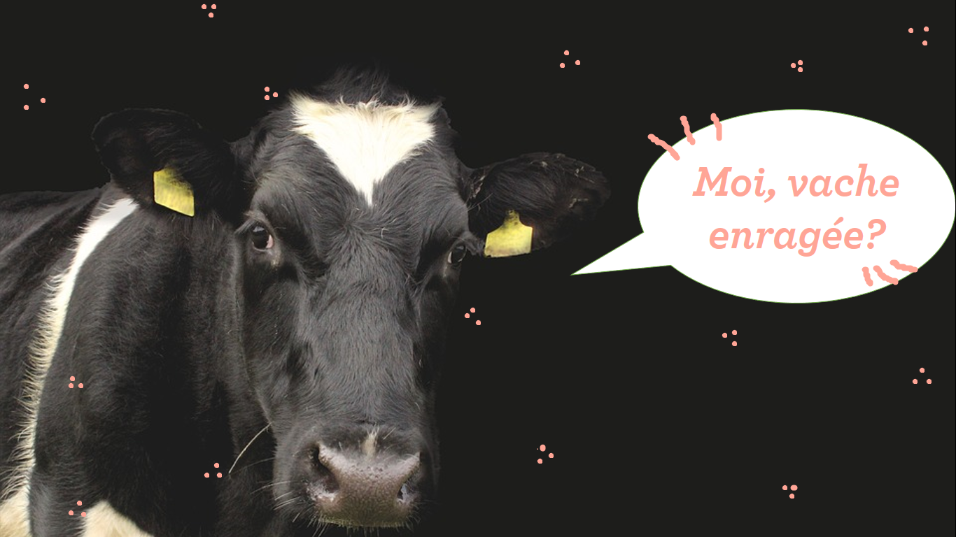 On ne devient pas féministe, on naît comme ça