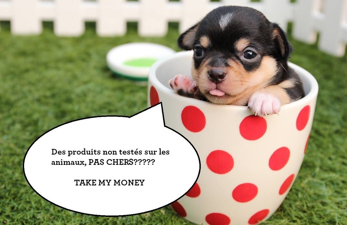 Des produits non testés sur les animaux et budget-friendly!