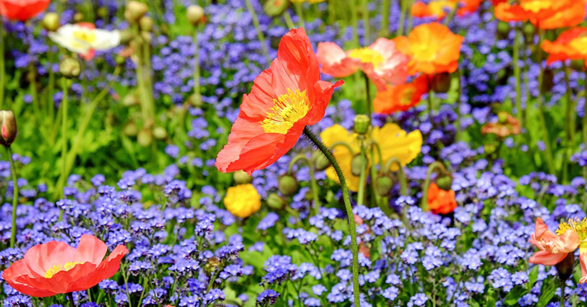 Des trucs pour sentir le frais toute la journée
