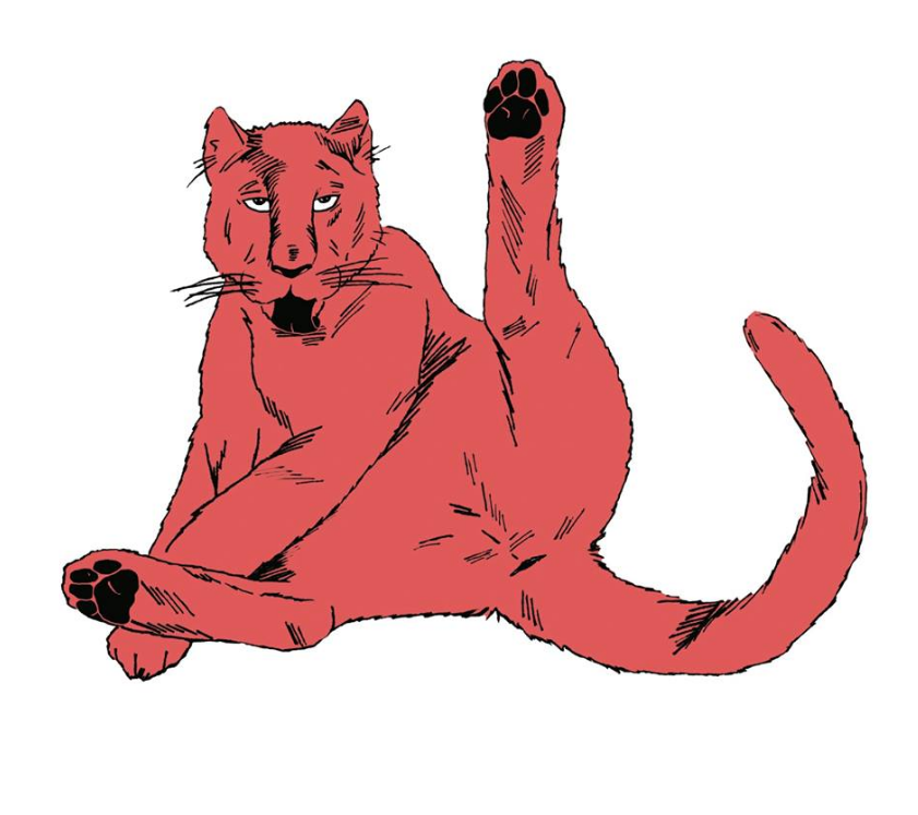 Les Panthères rouges : un collectif féministe que vous voulez connaître