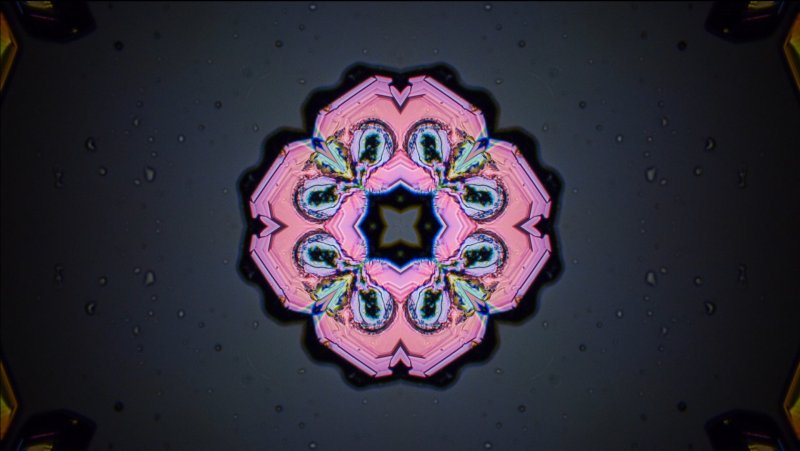 Expérimenter l’art contemporain d’une façon vraiment pas plate