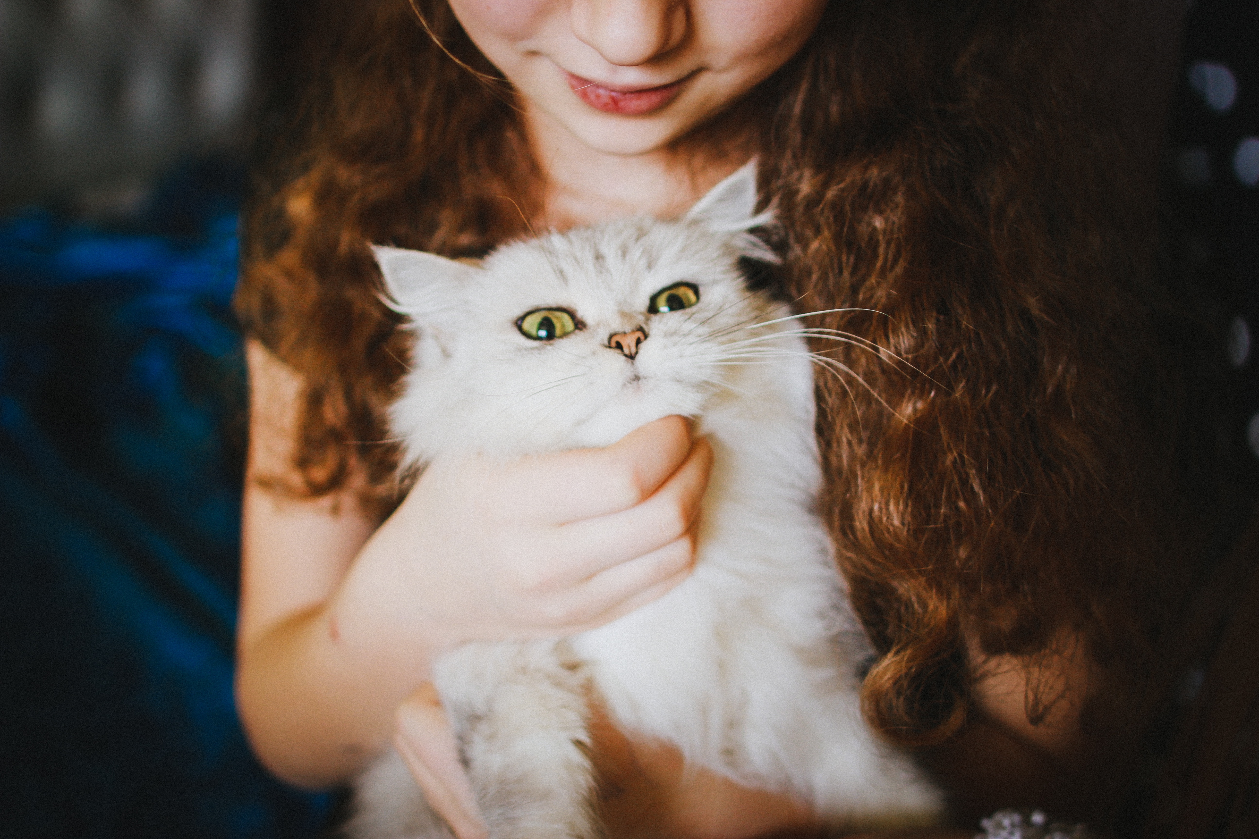 La « Crazy Cat Lady », un stéréotype sexiste?