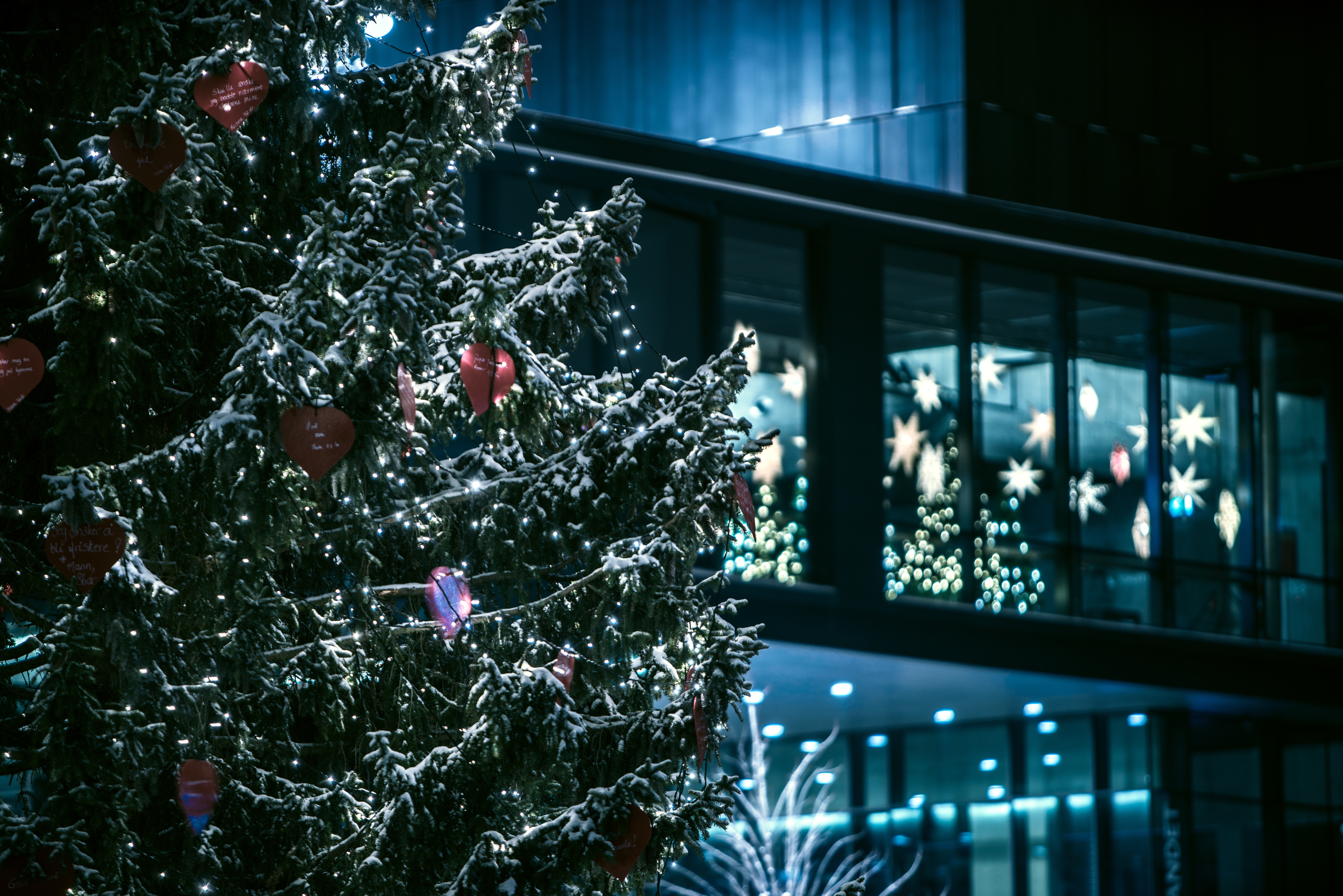 Novembre, ce mois un peu triste et ces lumières de Noël de trop