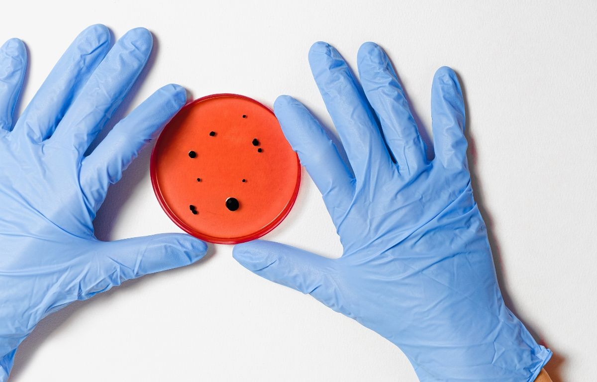 «Ce que j’ai ressenti, c’est une discrimination envers les femmes en sciences de façon générale» [ENTREVUE]