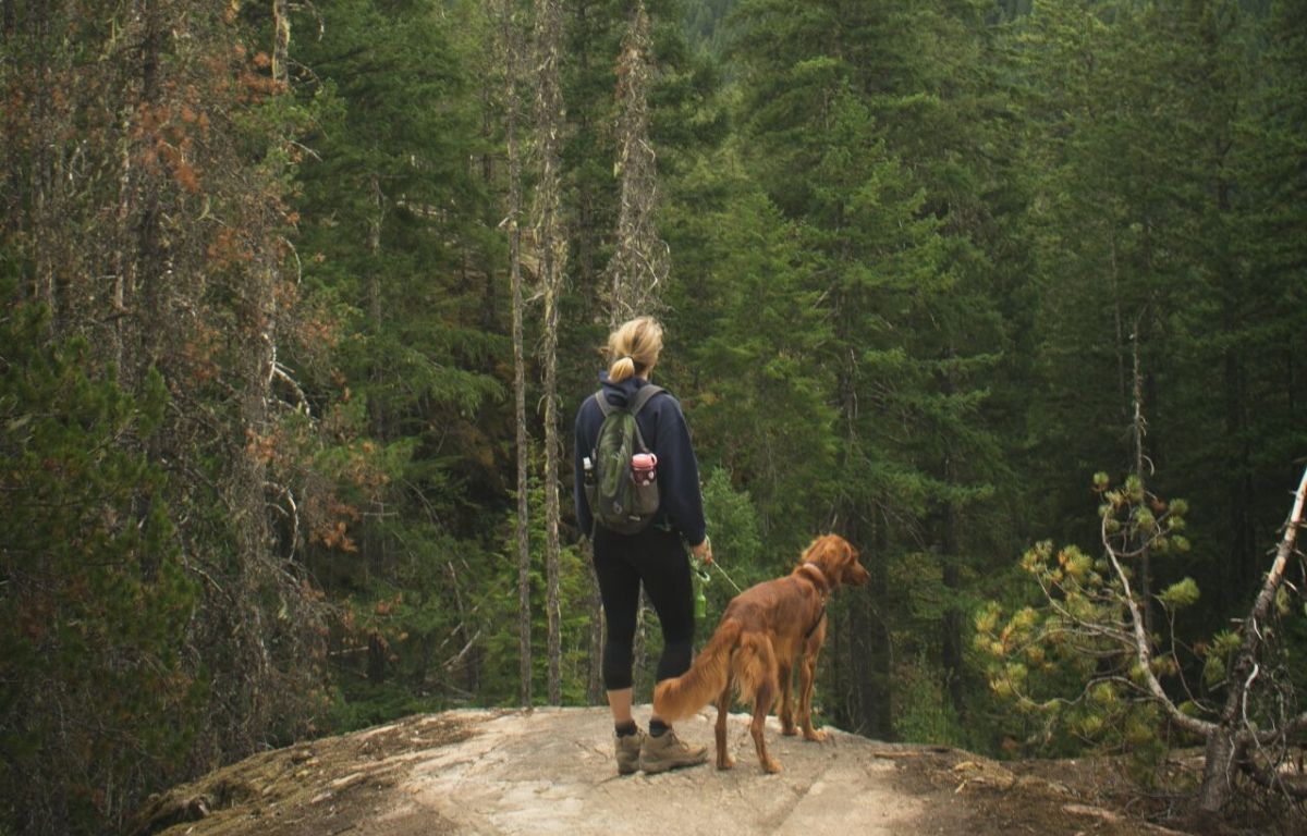 7 essentiels pour partir en randonnée avec son chien