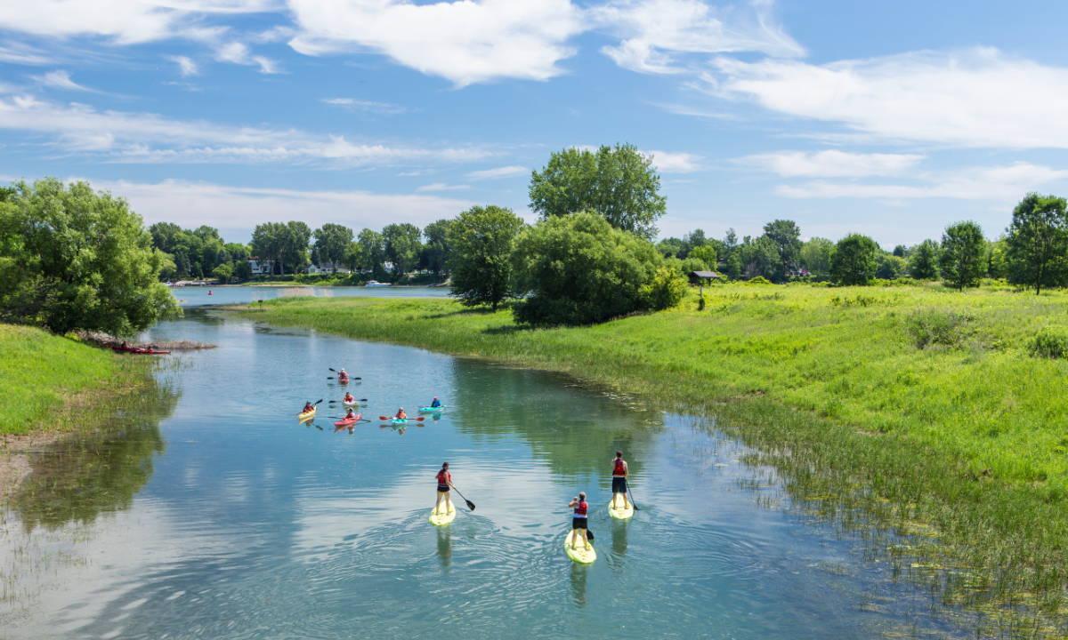 5 nouveautés géniales à découvrir dans les parcs de la Sépaq