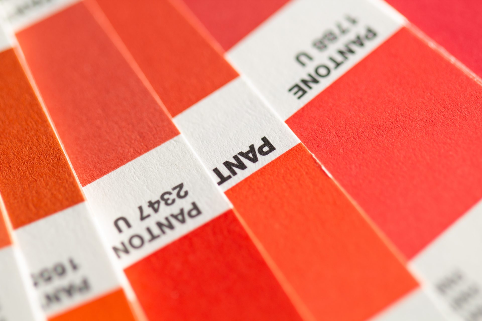 Pantone lance une nouvelle couleur pour normaliser les menstruations