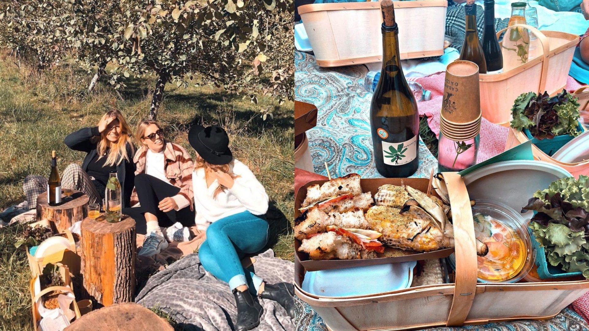 Le magnifique verger de la Cabane D&#039;à Côté de Martin Picard est l&#039;endroit rêvé où pique-niquer cet été!