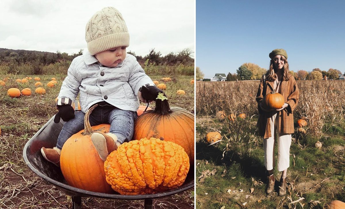 5 endroits où aller cueillir des courges et des citrouilles en famille