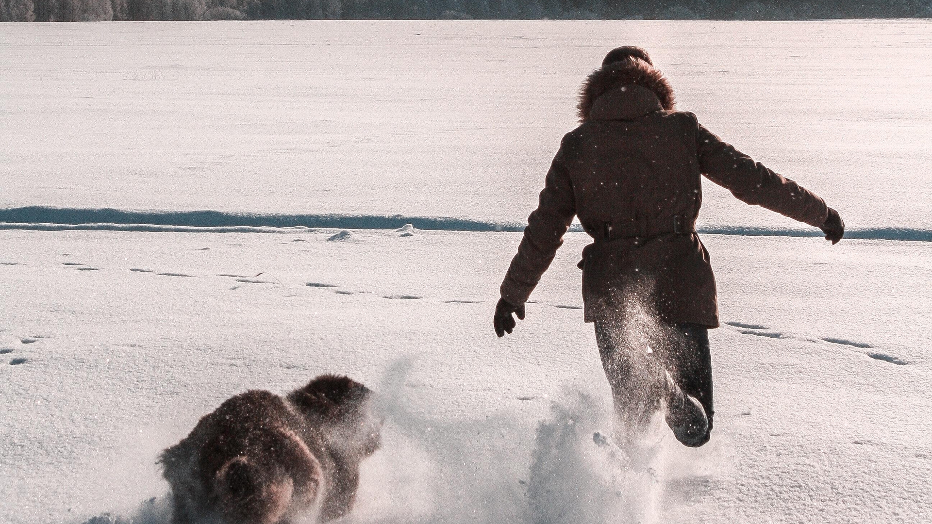 10 activités à faire pendant une tempête de neige