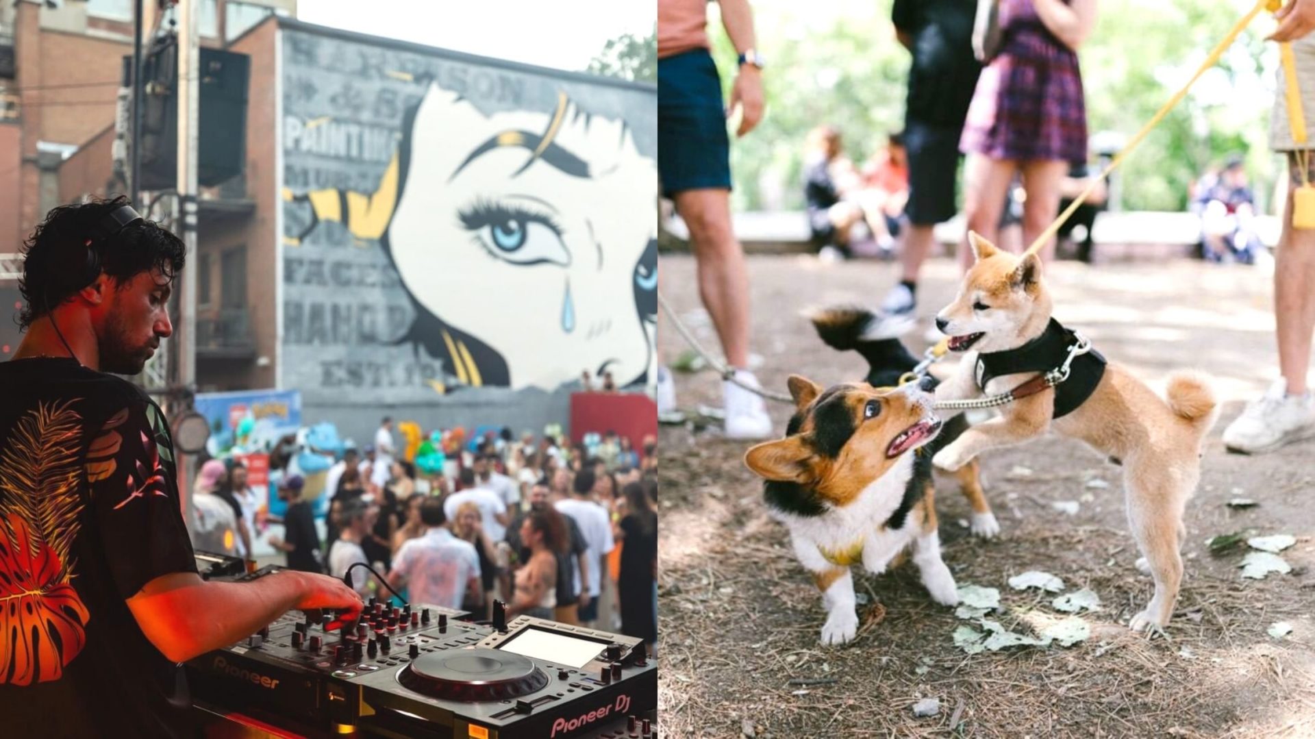 11 activités GRATUITES et amusantes à faire en juin à Montréal